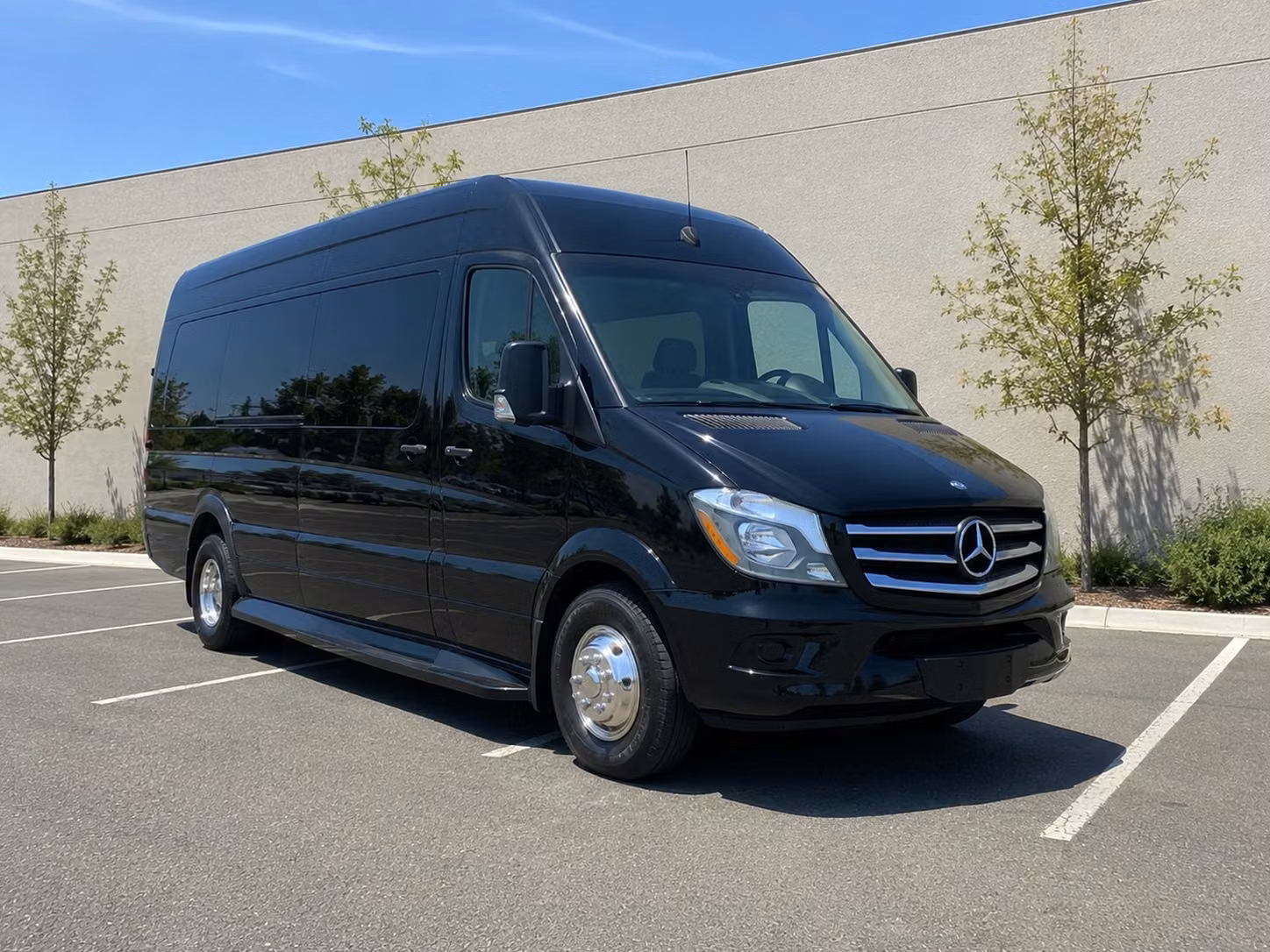 sprinter van with driver